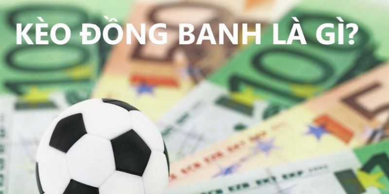 Hướng dẫn bet thủ cách đọc kèo 1×2 chi tiết